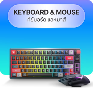 KEYBOARD & MOUSE