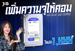 เพิ่มความจุให้คอม ในงบ 1พัน