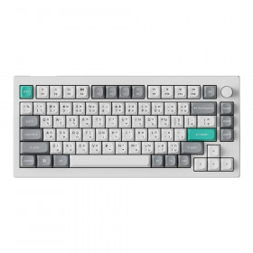 KEYBOARD (คีย์บอร์ด) KEYCHRON C75 TMR - KEYCHRON ULTRA-FAST LIME MAGNETIC SWITCH RGB EN/TH SPACE SILVER C75H-Q1