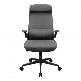 GAMING CHAIR (เก้าอี้เกมมิ่ง) COUGAR GAMING STRYDER - GRAY CGR-STD-GRB