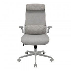 GAMING CHAIR (เก้าอี้เกมมิ่ง) COUGAR GAMING STRYDER - WHITE CGR-STD-ASW
