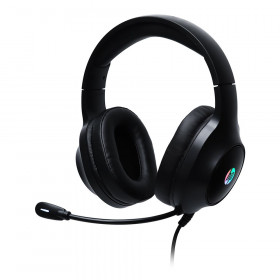 HEADSET (หูฟัง) HP DHE-8002 - BLACK