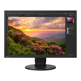 Monitor (จอมอนิเตอร์) Eizo ColorEdge CS2400S - 24.1 Inch IPS 60Hz Adobe RGB 99% Black