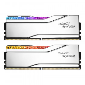 48GB (24GBx2) DDR5 6000MHz RAM (หน่วยความจำ) G.SKILL TRIDENT Z5 ROYAL NEO DDR5 - AMD EXPO CL28 SILVER F5-6000J2836F24GX2-TR5NS