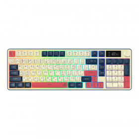 WIRELESS KEYBOARD (คีย์บอร์ดไร้สาย) SIGNO KB-736WB EXXONOS - RUBBER DOME SWITCH RGB EN/TH WHITE-BLUE