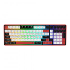 KEYBOARD (คีย์บอร์ด) SIGNO KB-735 ELENOSS - RUBBER DOME SWITCH RGB EN/TH BLACK-RED
