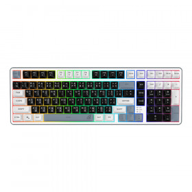 KEYBOARD (คีย์บอร์ด) SIGNO KB-735 ELENOSS - RUBBER DOME SWITCH RGB EN/TH WHITE-GRAY
