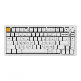 WIRELESS KEYBOARD (คีย์บอร์ดไร้สาย) KEYCHRON J2 ULTRA 8K - APEX RED SWITCH RGB EN/TH DAYLIGHT J2U-D1-TH