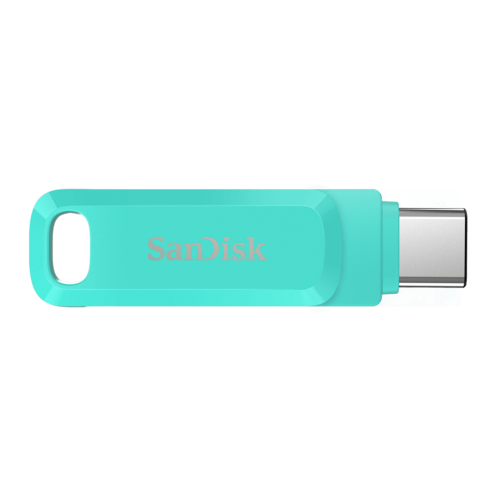 256 GB FLASH DRIVE (แฟลชไดร์ฟ) SANDISK ULTRA DUAL DRIVE GO USB TYPE-C ...