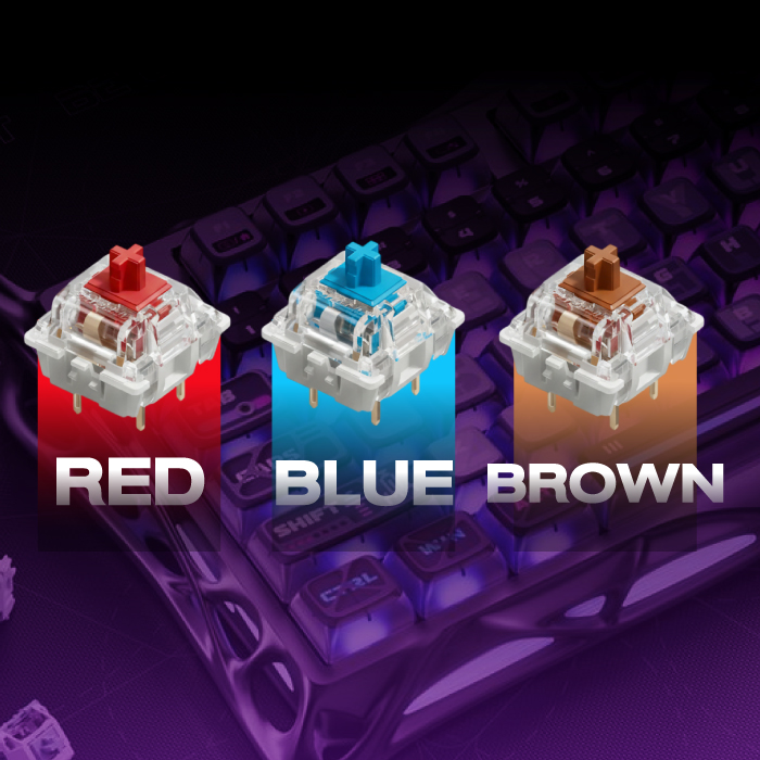 Switch คีย์บอร์ดมีกี่สี? สรุปความต่าง Red, Blue, Brown เลือกแบบไหนให้ถูกใจที่สุด