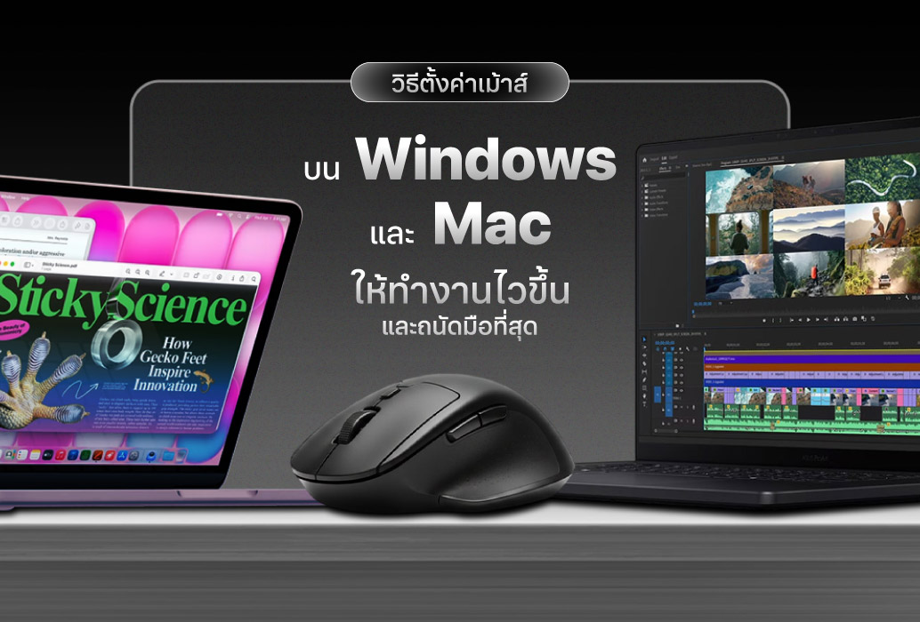 วิธีตั้งค่าเม้าส์บน Windows และ Mac ให้ทำงานไวขึ้นและถนัดมือที่สุด
