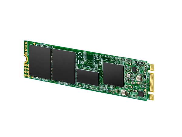 256 GB SSD (เอสเอสดี) TRANSCEND MTS830S SATA M.2 2280 (TS256GMTS830S)